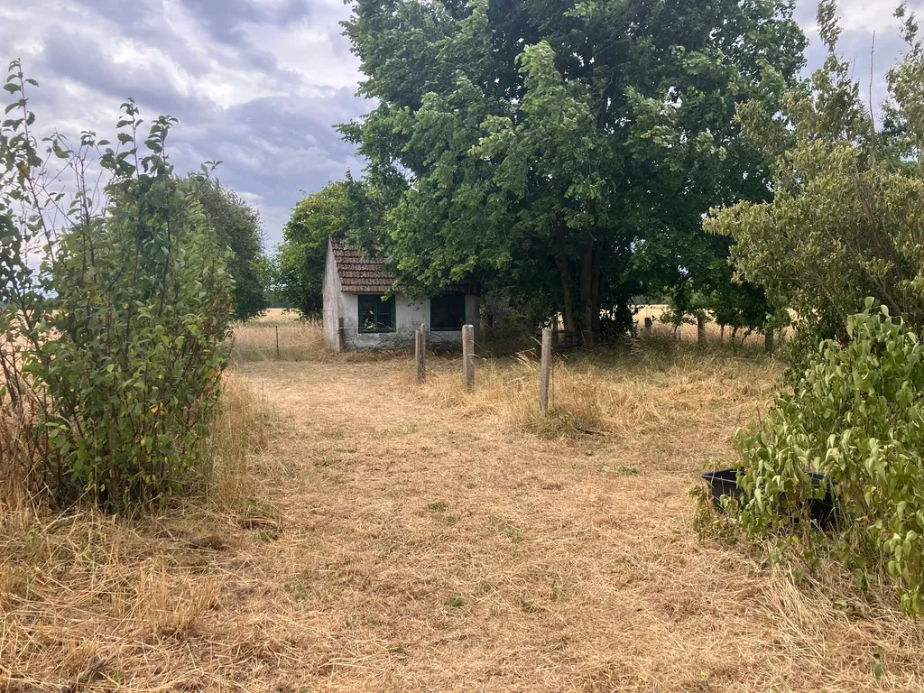 Kleine Westernranch - Naturcamp