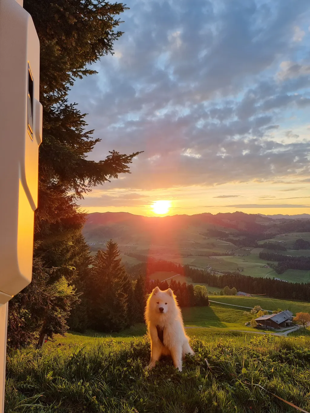 Bild von Peter für den Spot 376