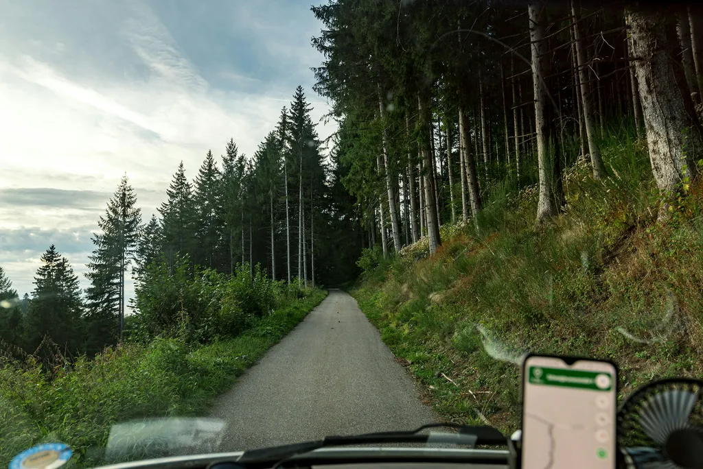 Ein Bett im Schwarzwald