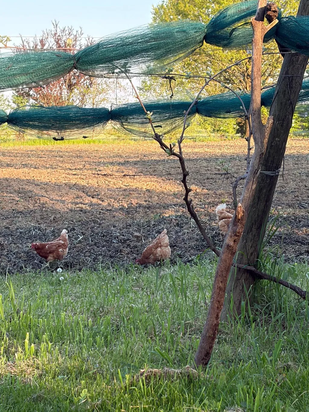 Bild von Franziska für den Spot 4034