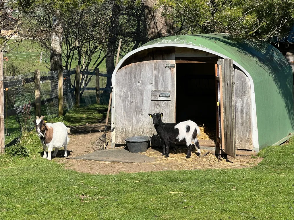 Bild von Kari für den Spot 875