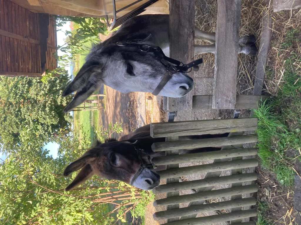 Bild von Christian für den Spot 283