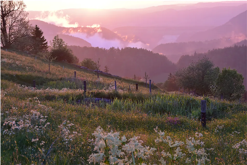 Übernachten mit Weitsicht