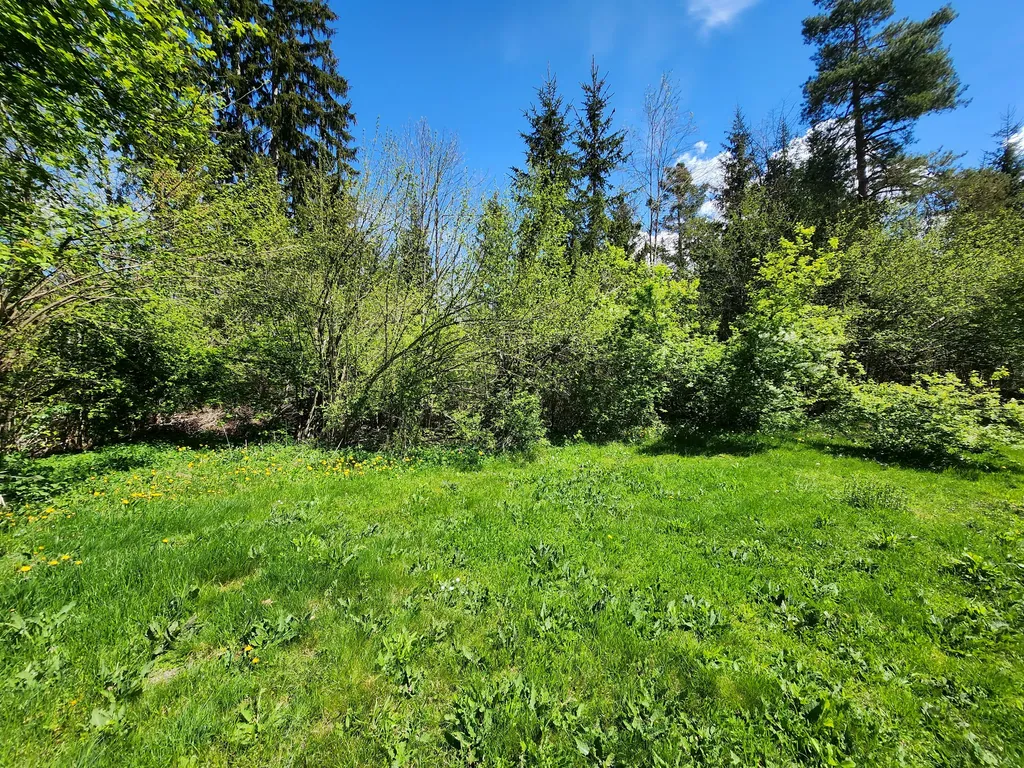 Idyllisches Plätzchen am Bach