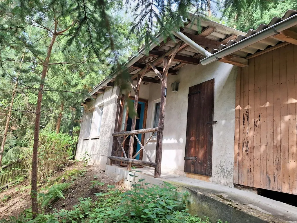 Hütte auf Wiesengrundstück im Wald