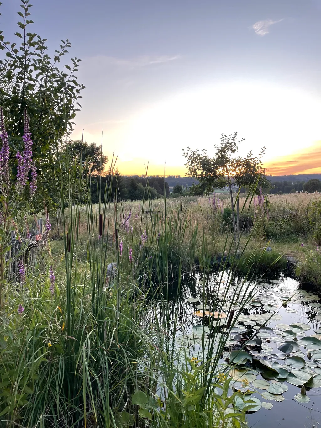 Bild von Simone für den Spot 3396