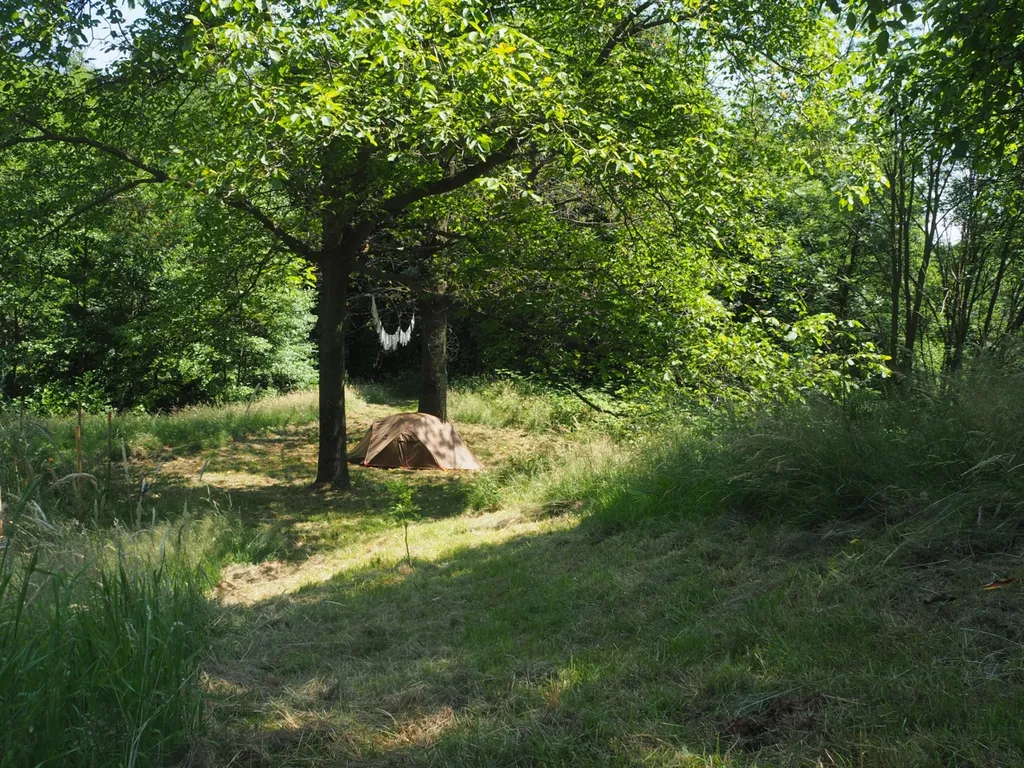 campspot differenth angle