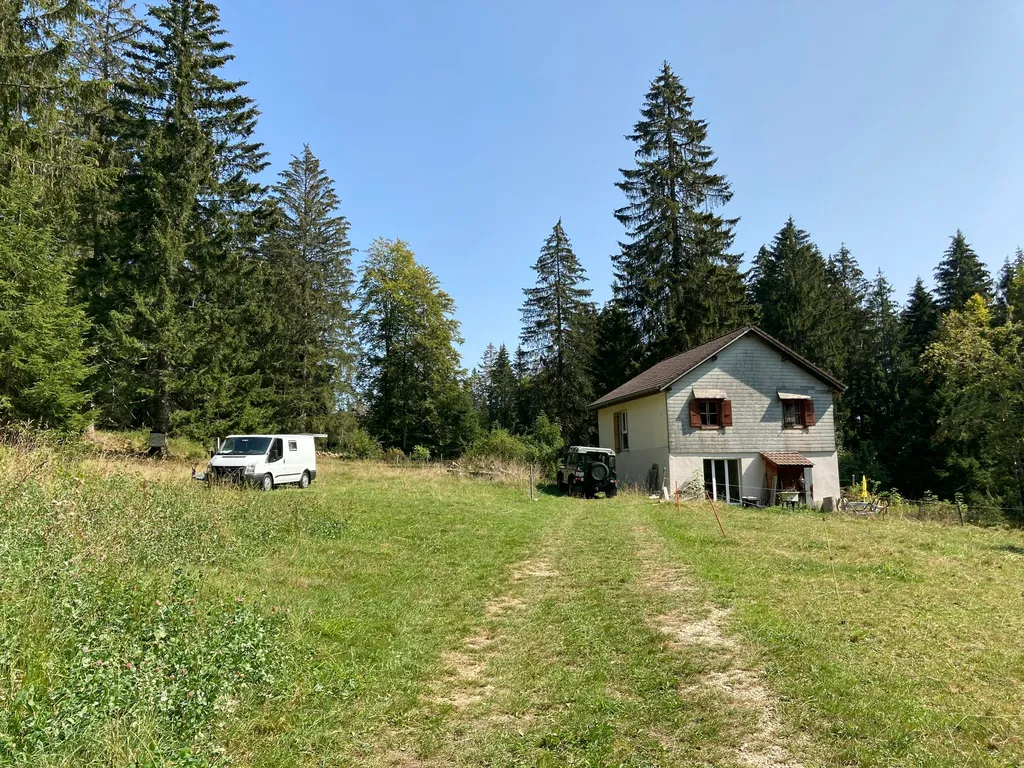 Paturage au Jura Neuchâtelois
