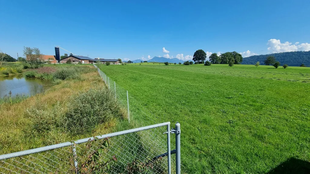 Hirschpark live - Sicht auf Pilatus