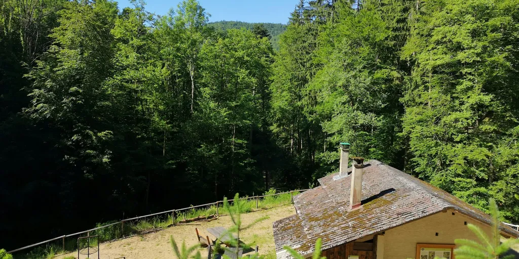 Waldbaden im Bad Krozinger Heilwald