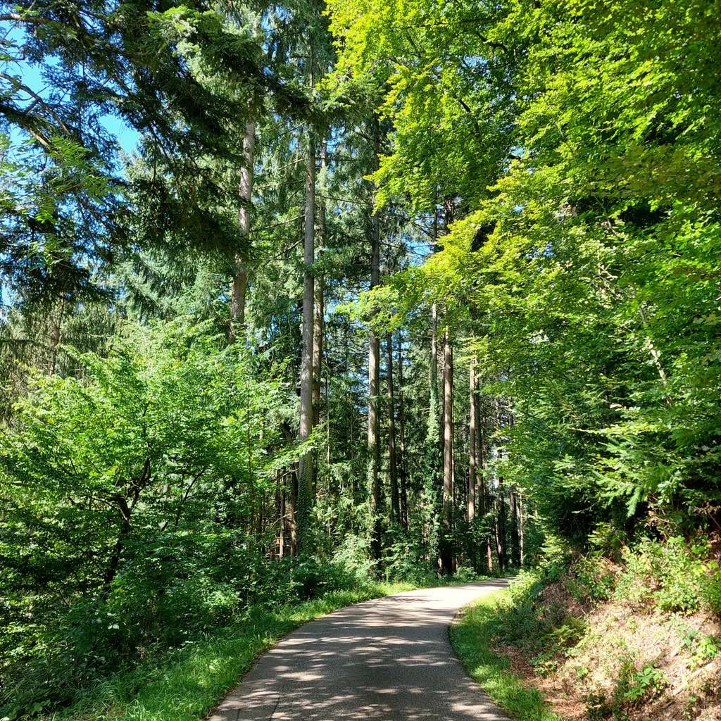 Profile picture of Mara