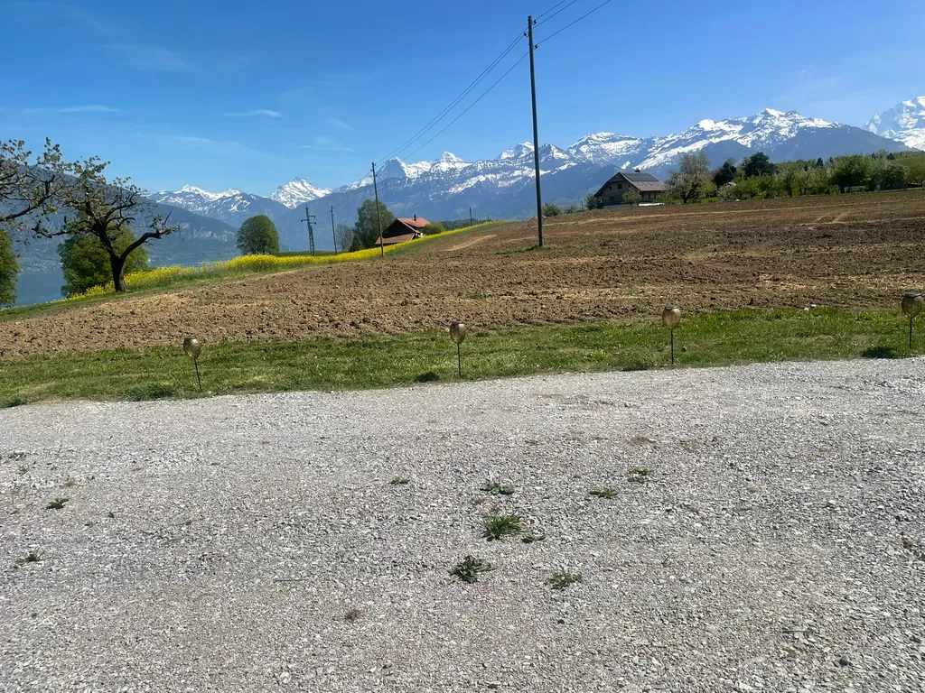 Ausblick Thunersee mit Bergen