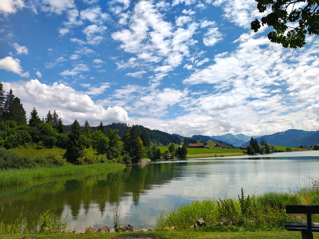 Image by Susanne for spot 389