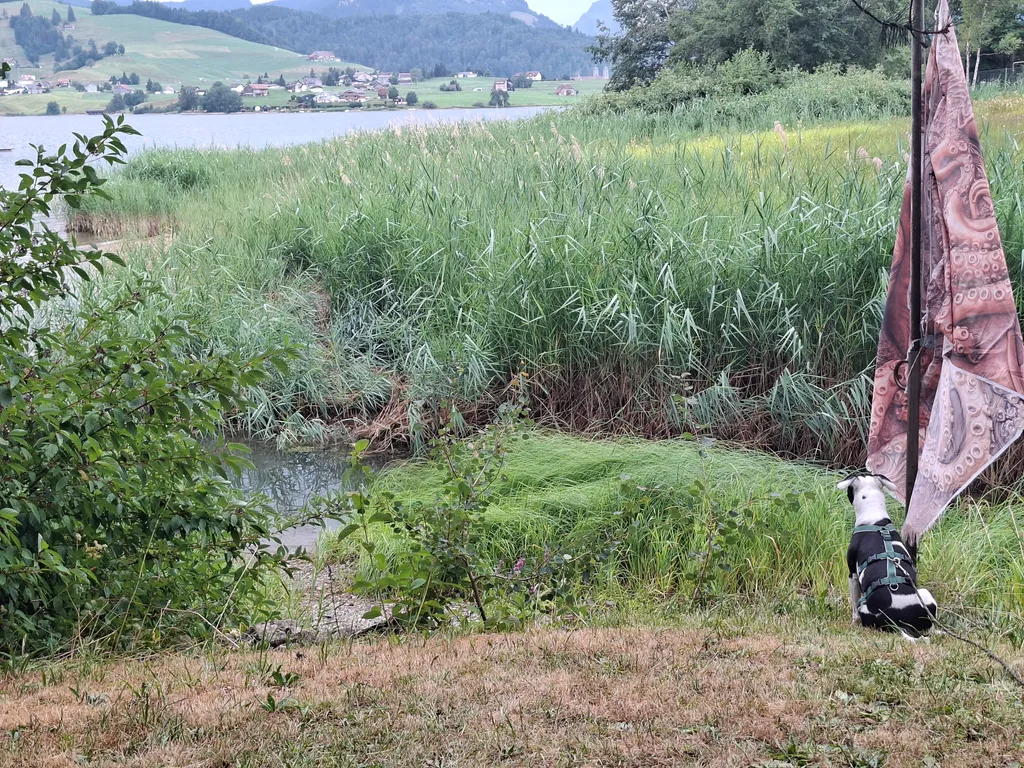 Bild von Petra für den Spot 451