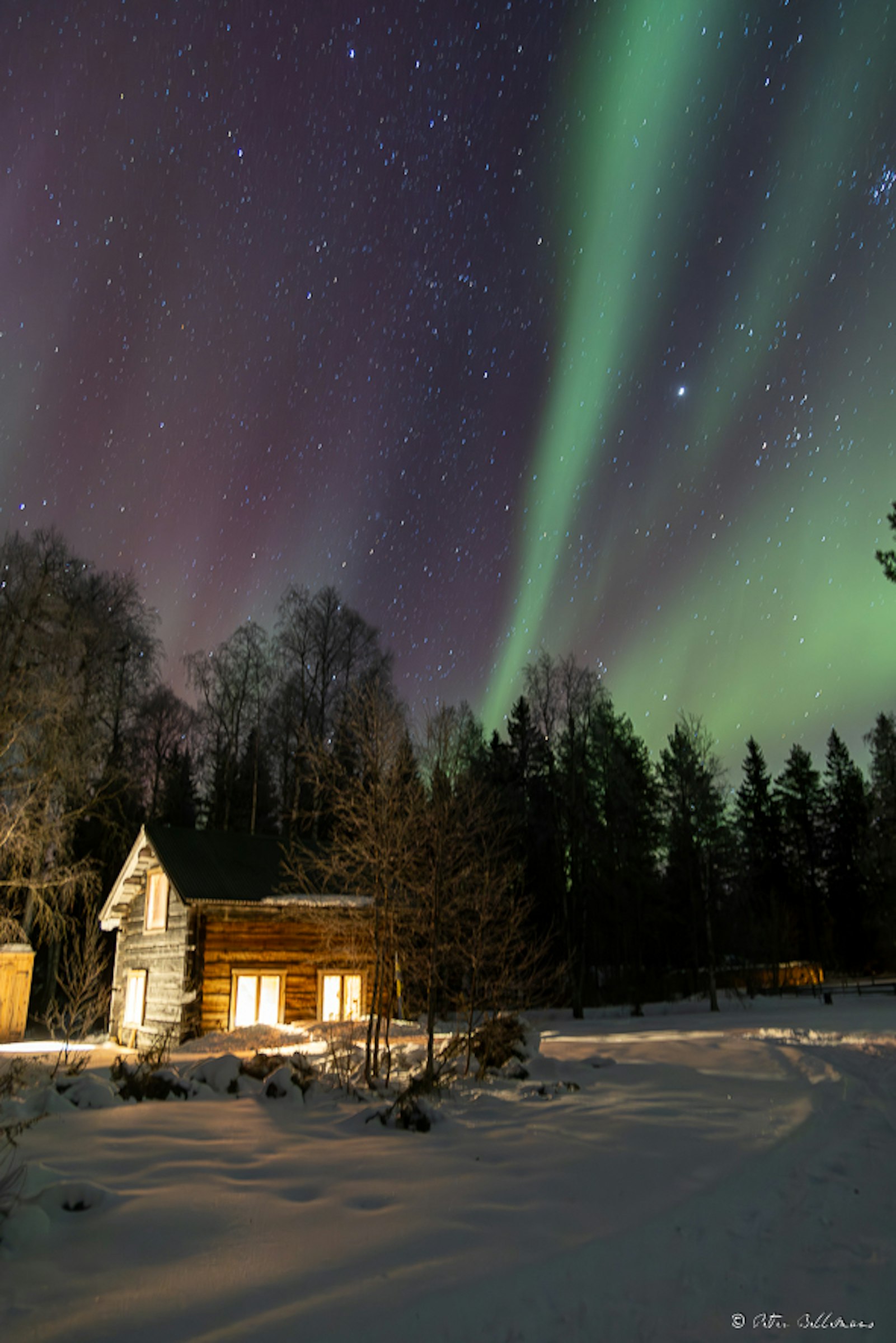 Huskies, Sauna und lokales Essen - ein Abenteuer photo 2