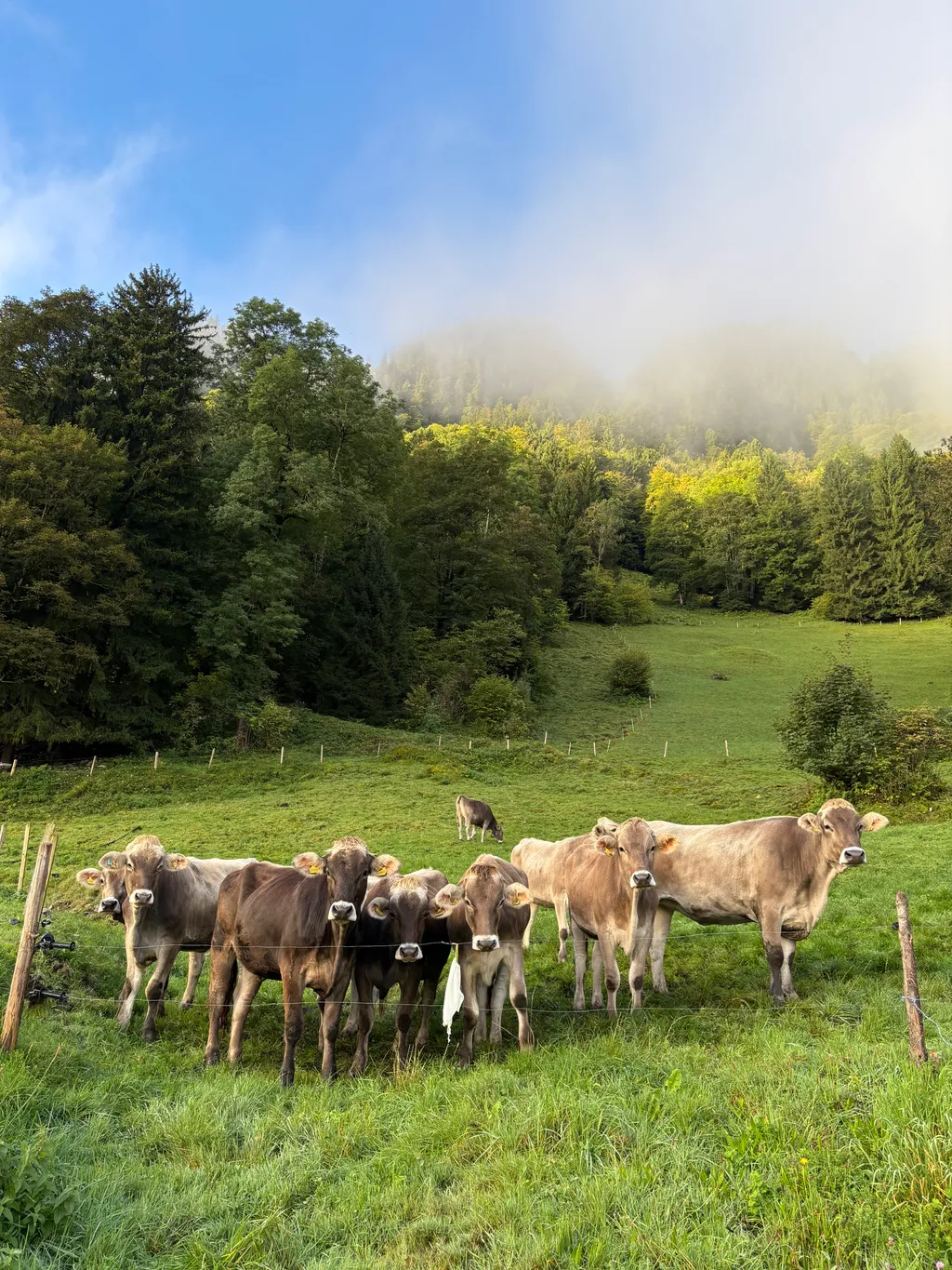 Bild von Melina für den Spot 1157