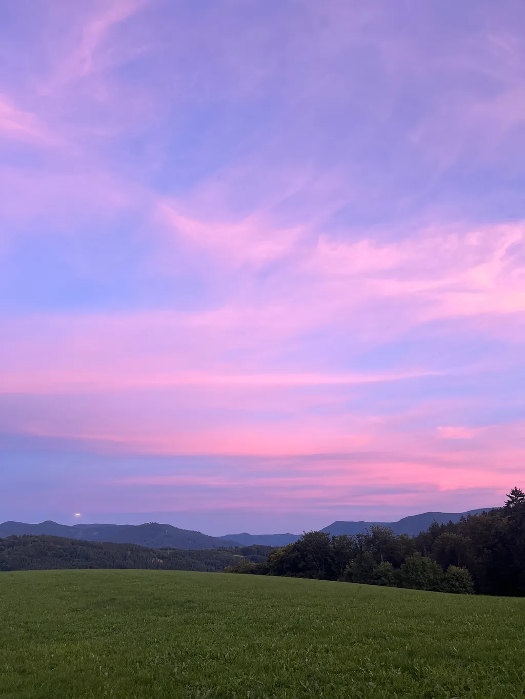 Bild von Sophie für den Spot 1587