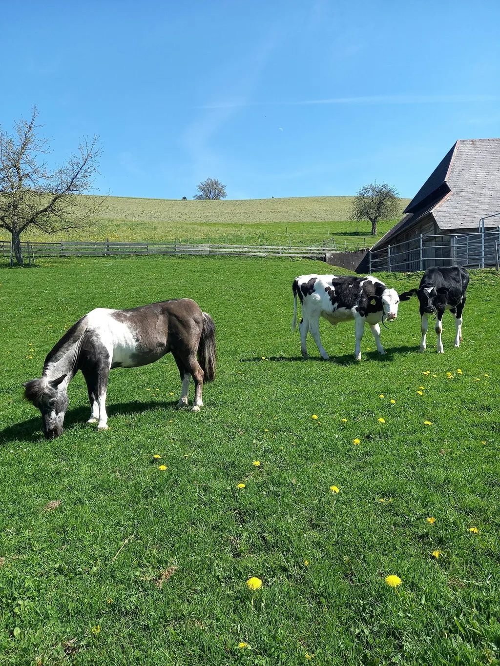 Am rauschenden Bächlein