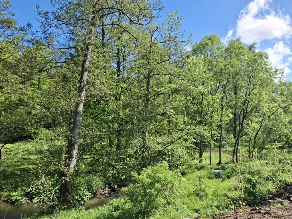 Platz am kleinen Saynbach