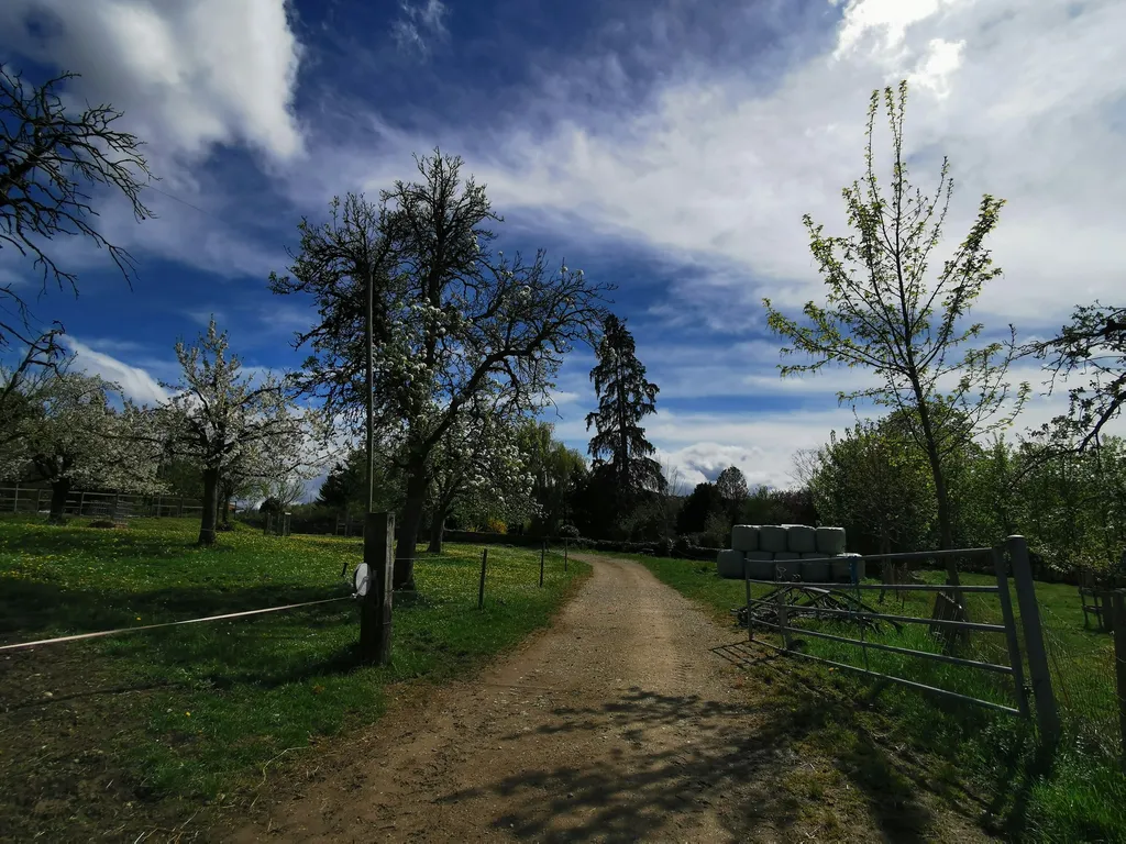 Biohof Hübeli Hofstatt