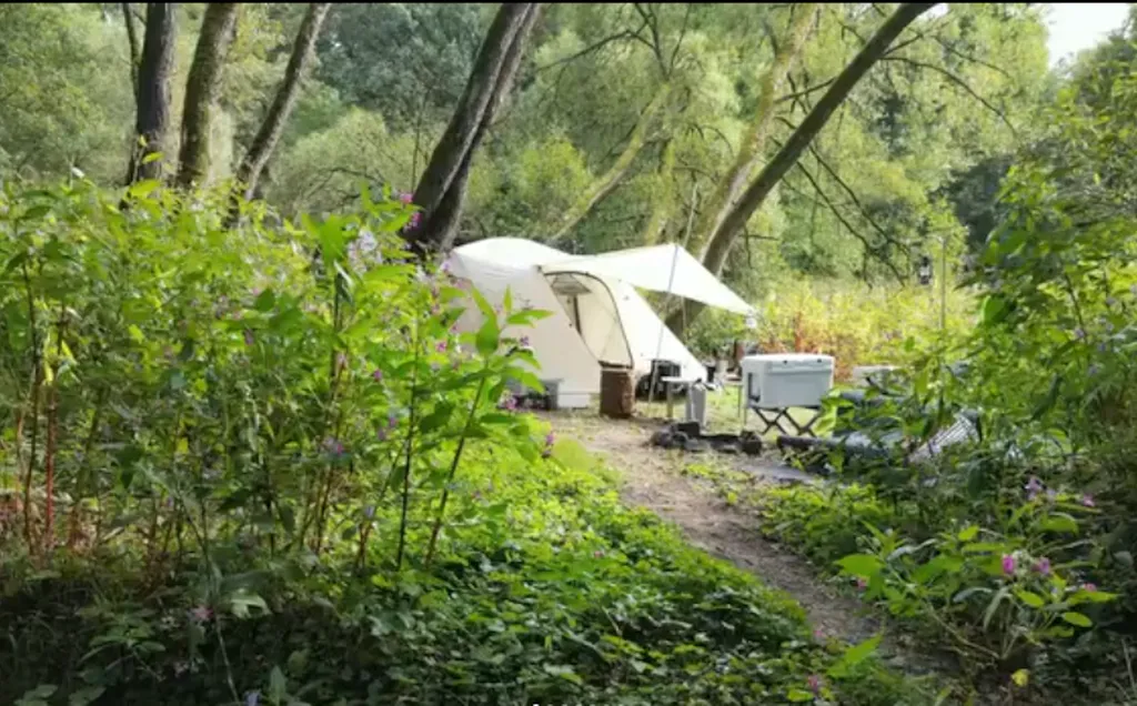 Zeltplatz am kleinen Saynbach