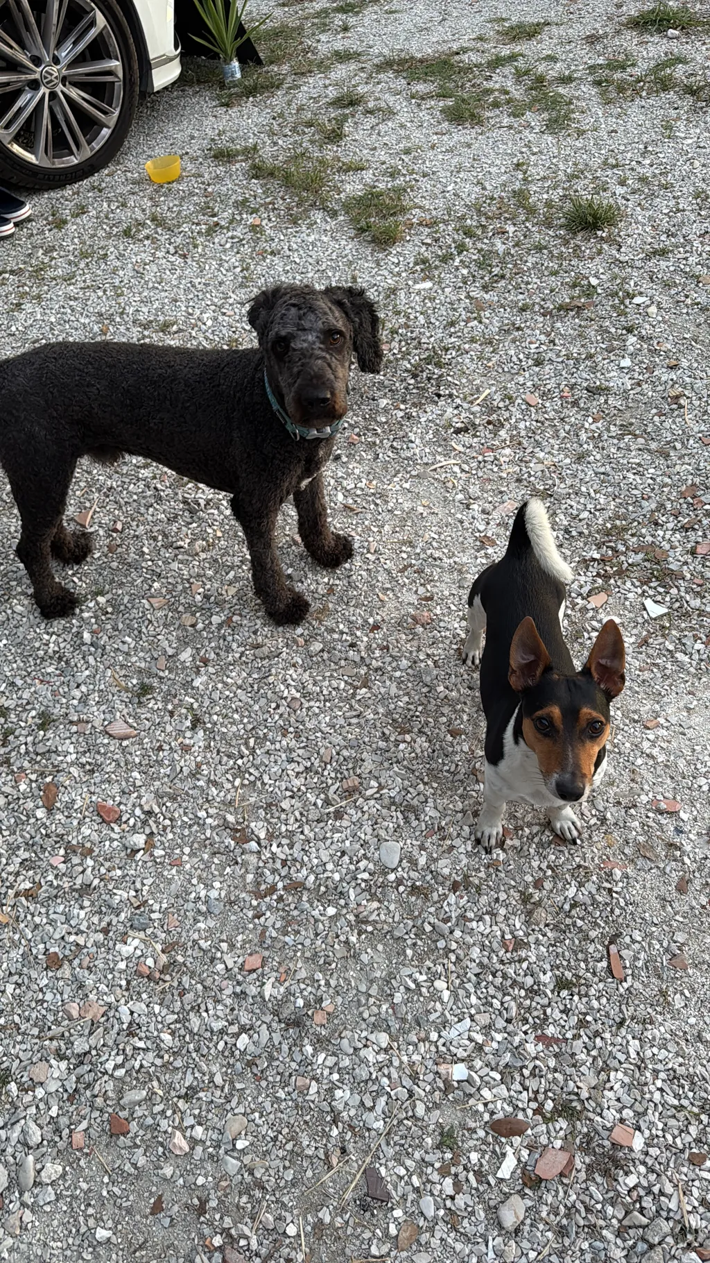 Bild von Claudia für den Spot 4297