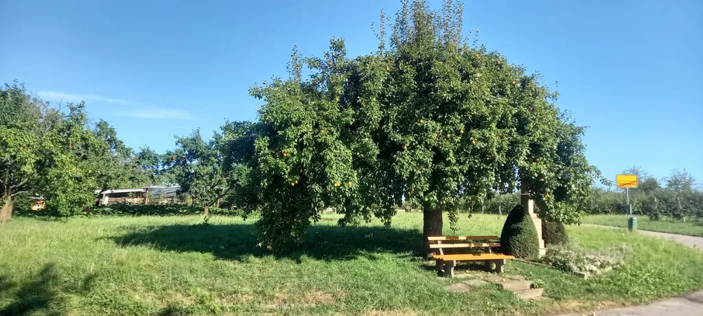 Stellplatz auf Streuobstwiese am Dorfrand