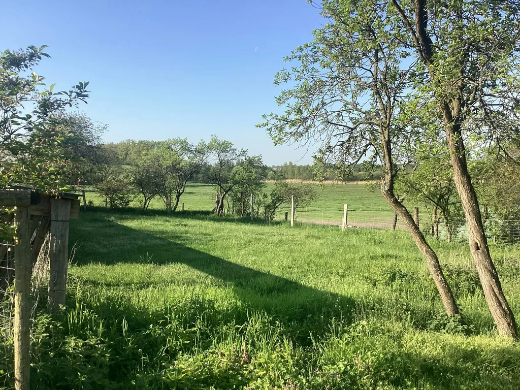 Toller Ausblick Müritz-Nationalpark