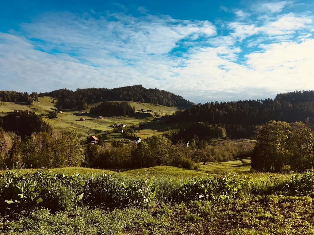 Romantik am Jakobsweg