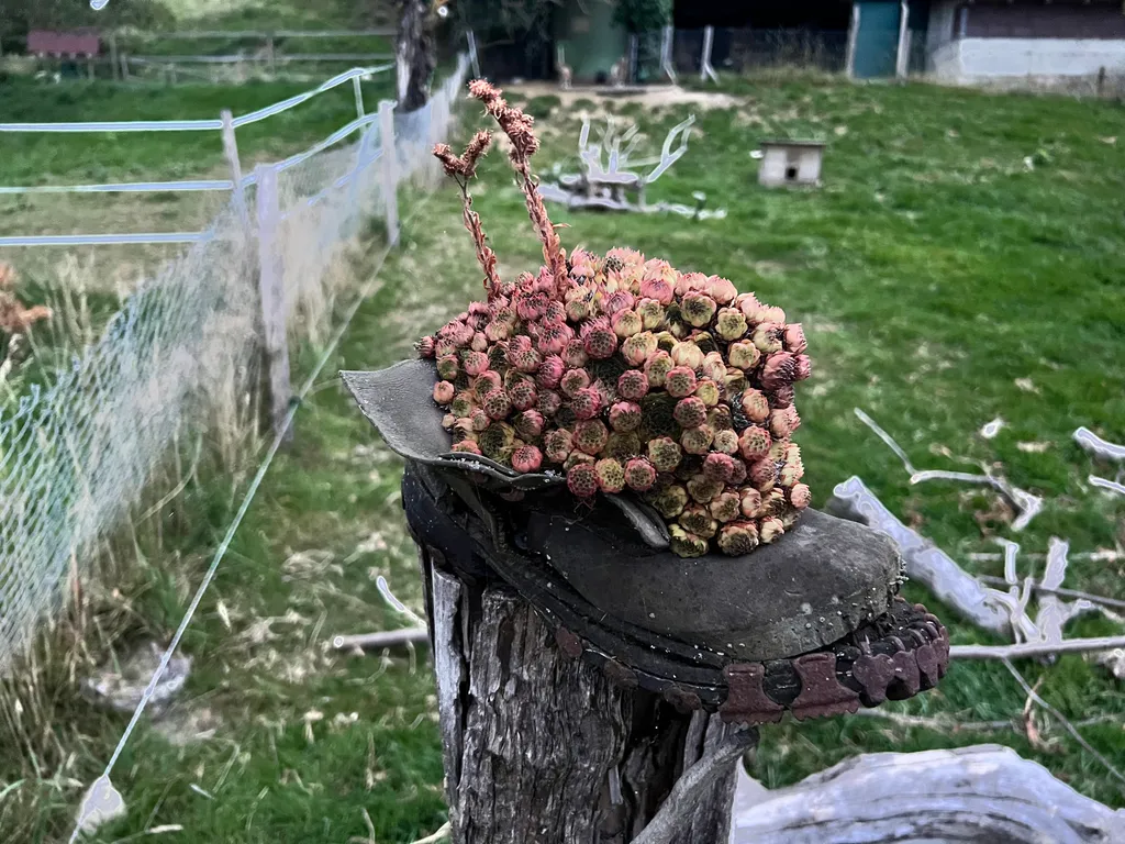 Bild von Daniela für den Spot 106