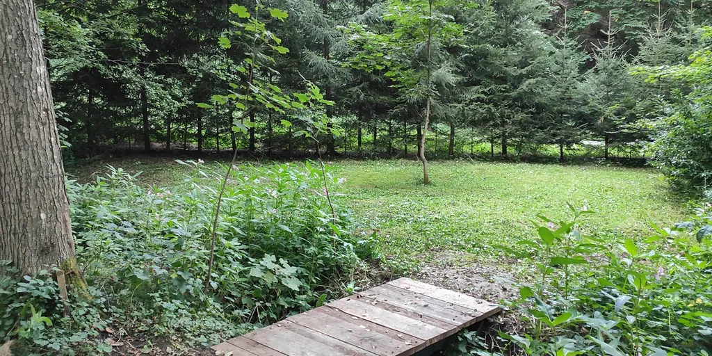 Idyllische Wiese am Bach