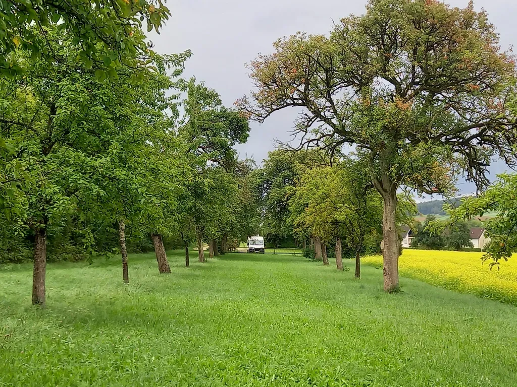 Bild von Reinhard für den Spot 3112