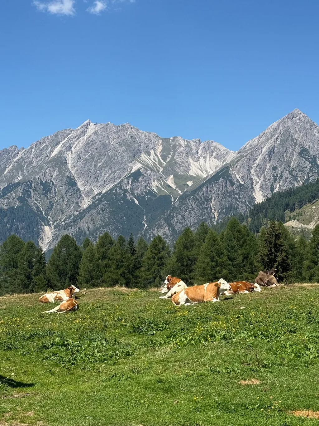 Bild von Milan für den Spot 4620