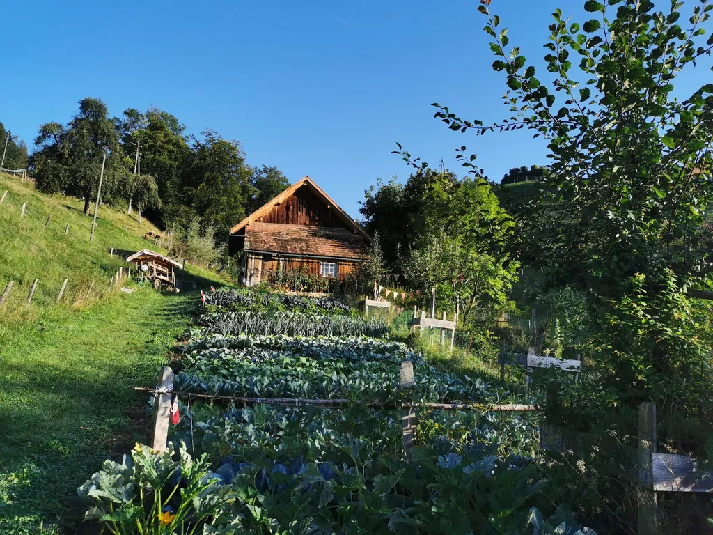 Summerweid in Sarnen