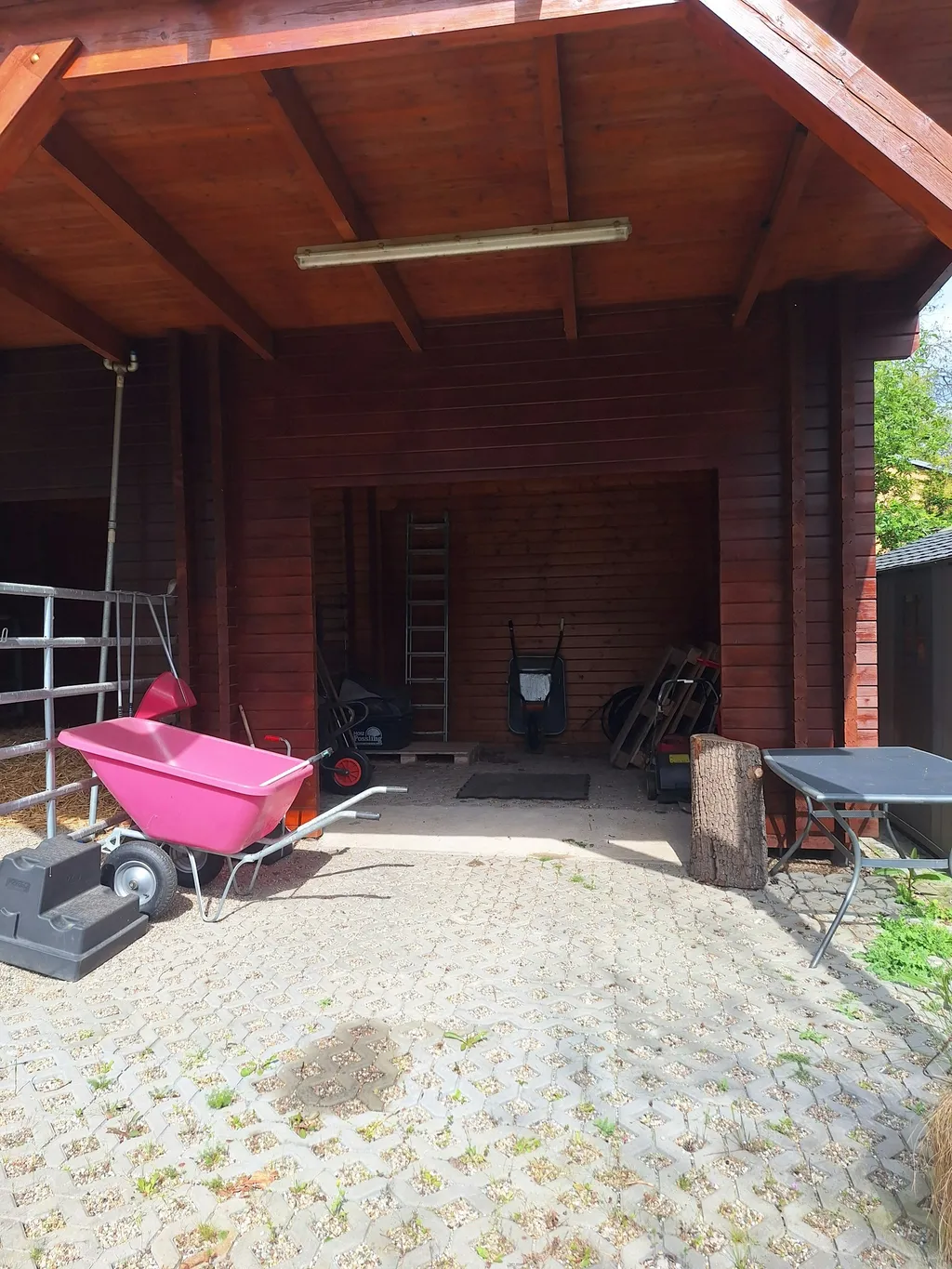 Abgelegene Ponywiese mit Sicht