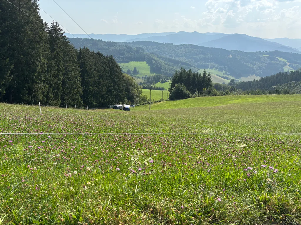 Bild von Henning für den Spot 1579