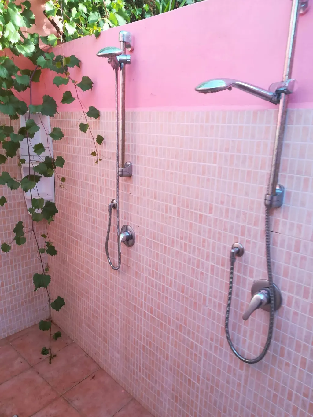 Il giardino delle ortensie