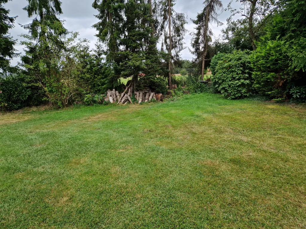 Obstwiese mit Hühnern