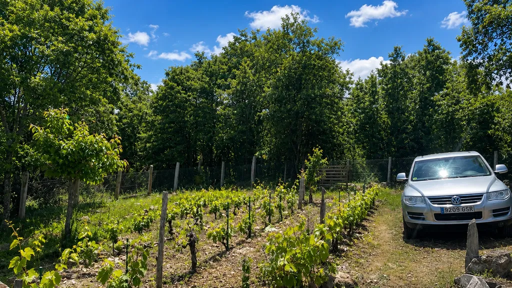In the middle of vineyards in the Ribeira Sacra