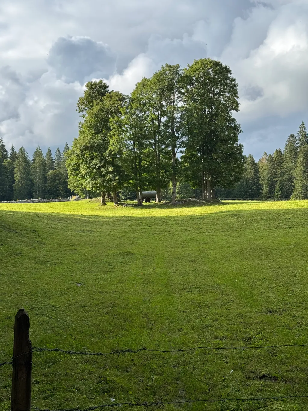 Bild von Daniel für den Spot 724