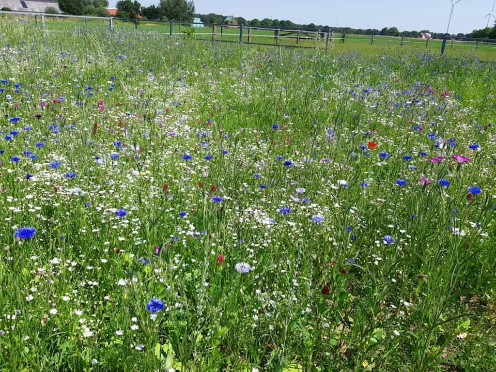 Gescher Bauernschaft, 5 Min. zur A31