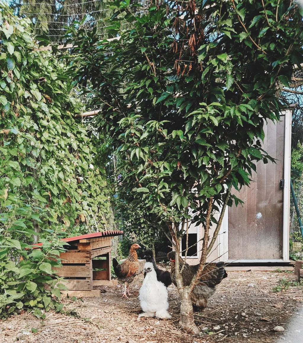 Bild von Monika und Christian  für den Spot 542