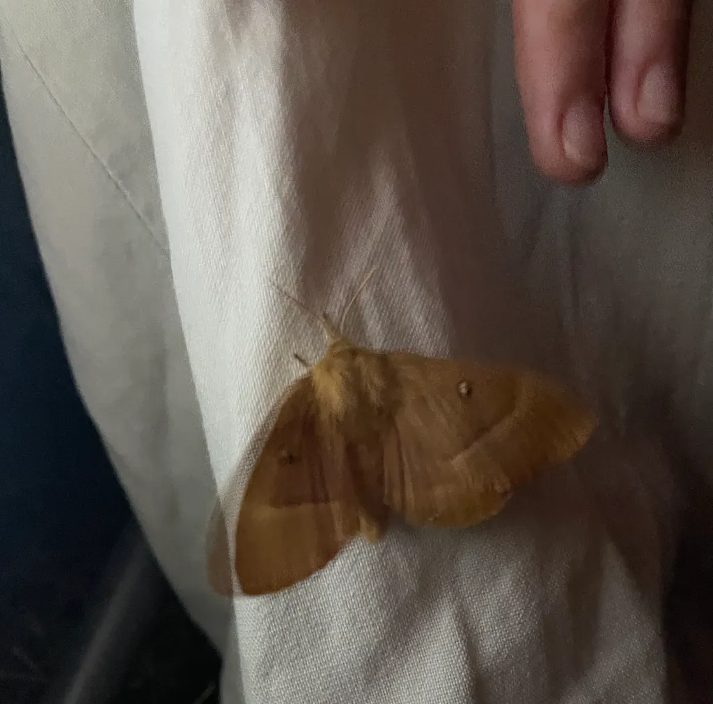 Bild von Katja für den Spot 1071