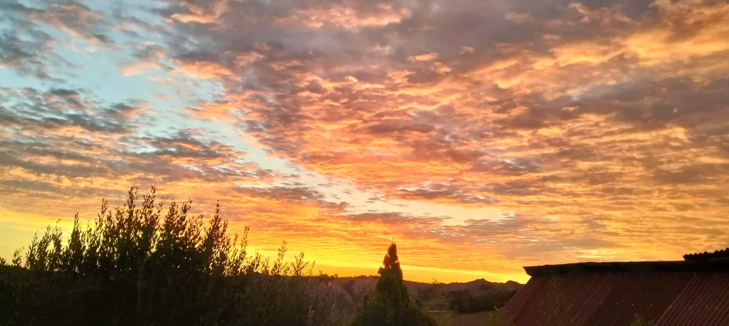 Colline brisighellesi