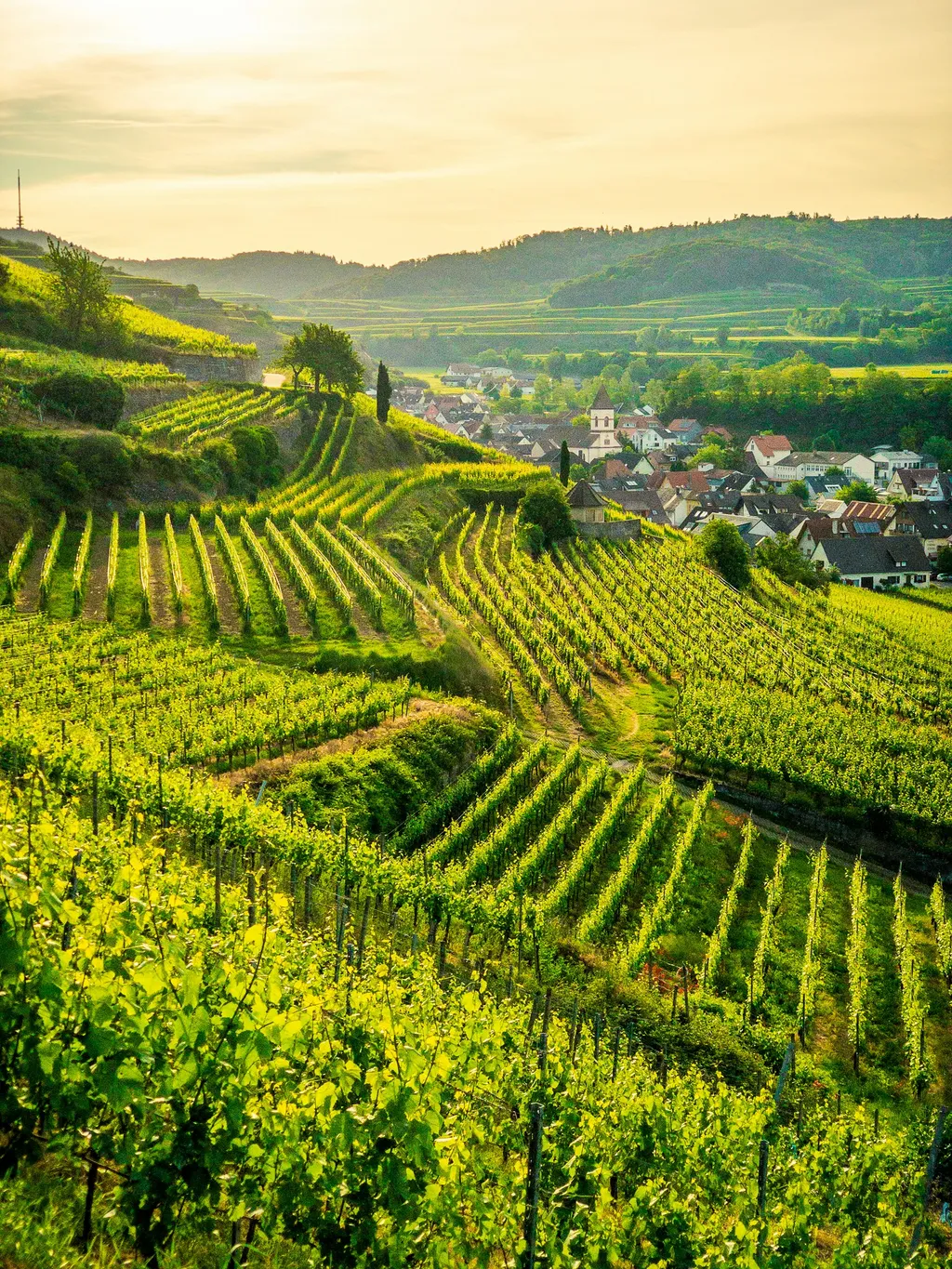 Parkplatz Castellberghütte V.-Achk.