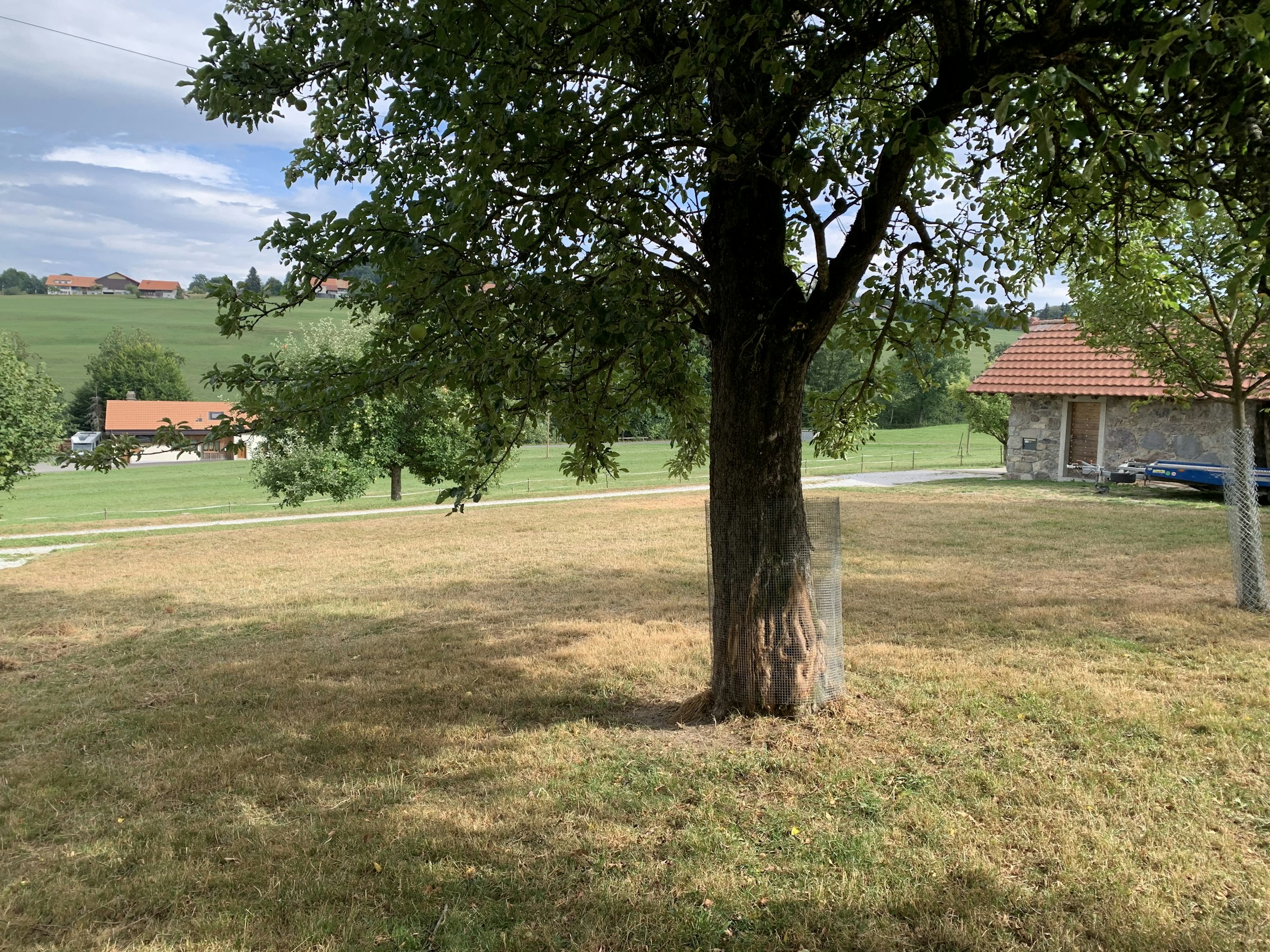 Un petit coin tout nature