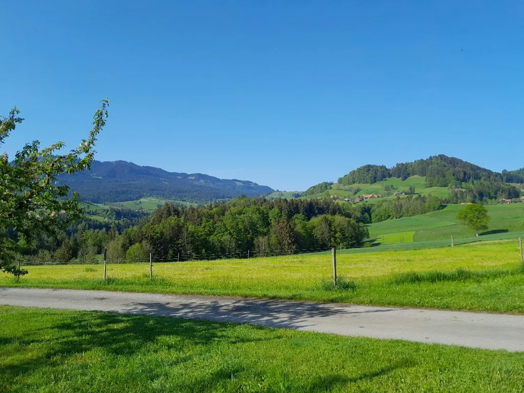 Gantrisch Camp (ein Platz für dich alleine)