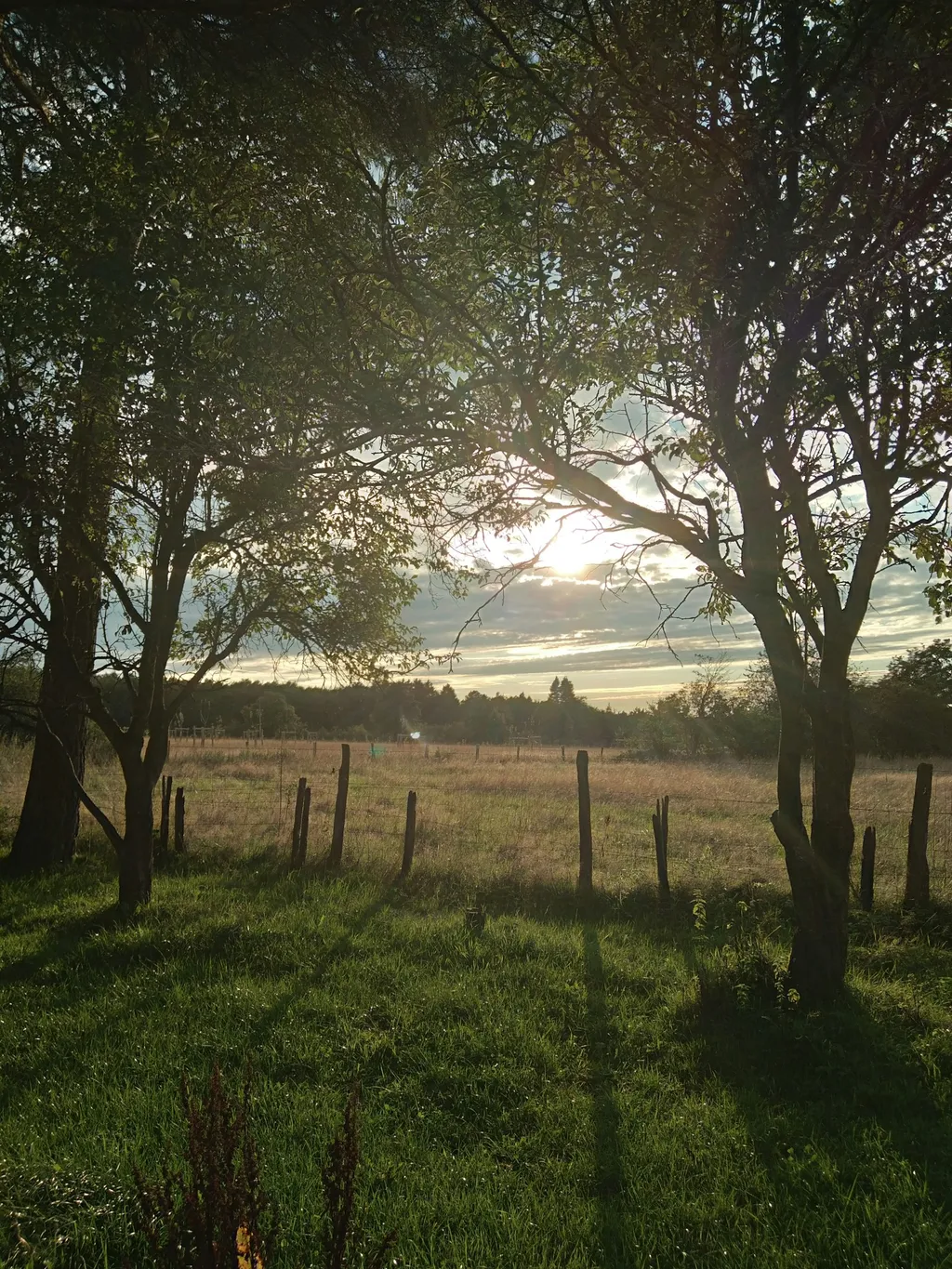 Idyllisches Plätzchen am Eifelsteig