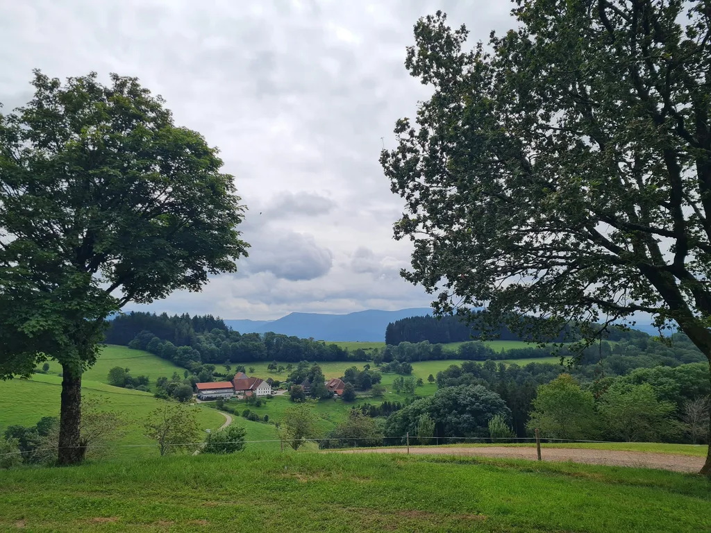 Natur pur - beim Kölble Hof - Eiche