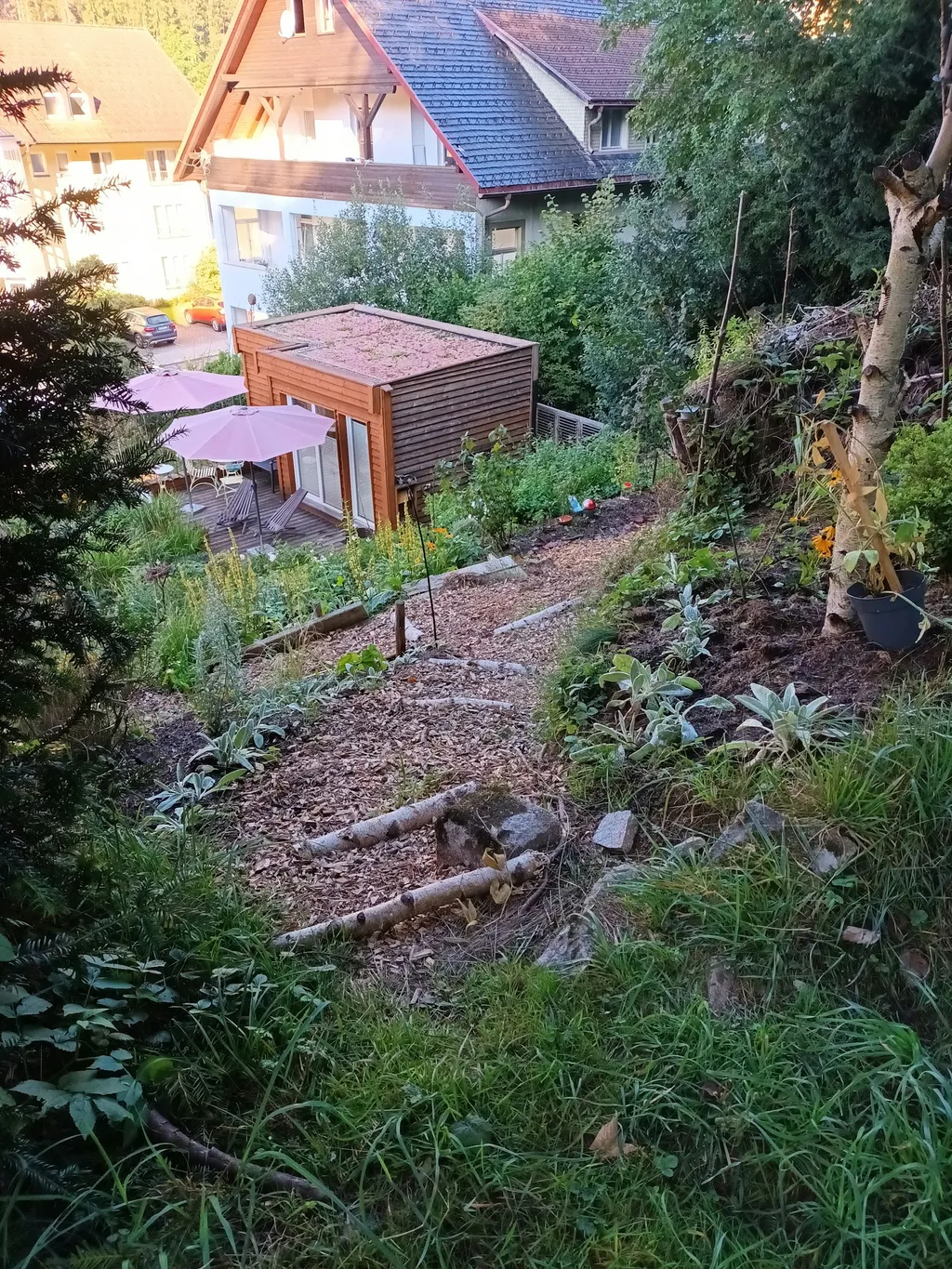 Der Weg hinab zum Schlafplatz von der Muchenländerstraße kommend.